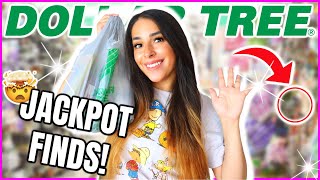 20 Things to buy at Dollar Tree in August 2023 | DOLLAR TREE FINDS (organization and more)