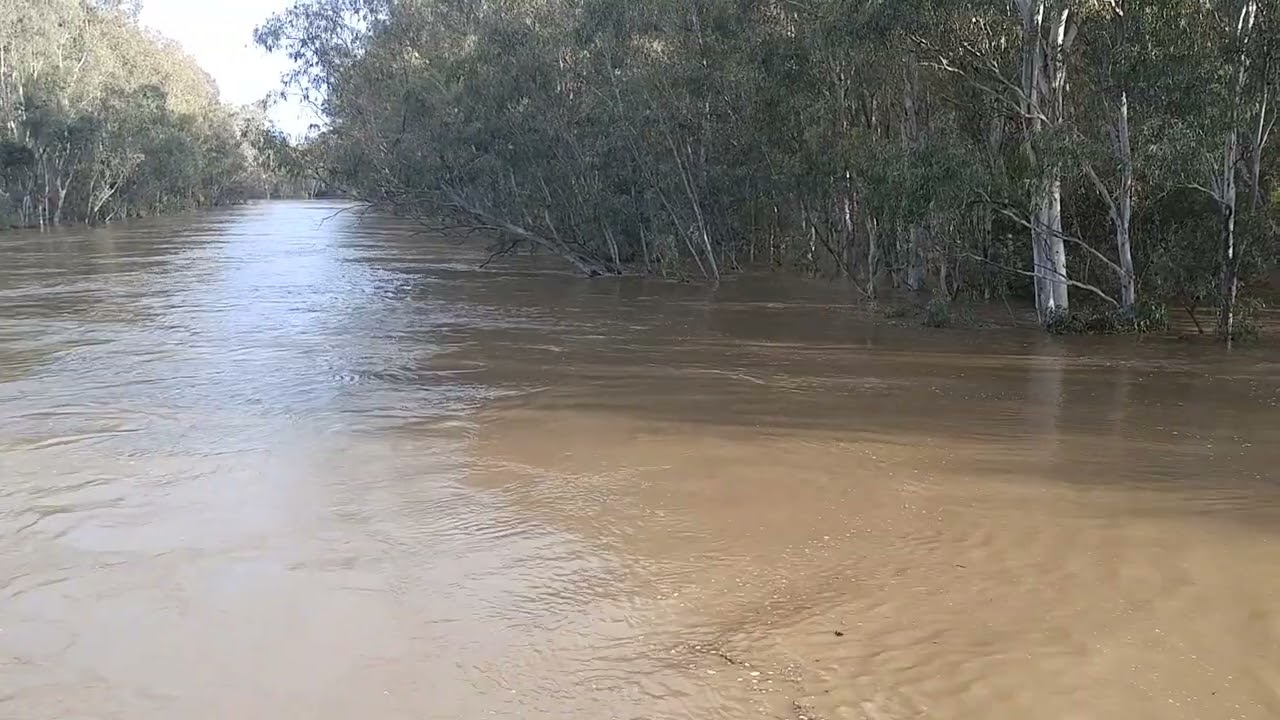 Goulburn River flood water passing under Daintons Bridge, Shepparton