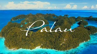 Dive Away - Diving And Travel - wyprawa na Palau w Mikronezji 2017r