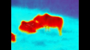 Parrot Anafi Thermal test