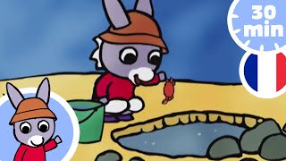Trotro Profite De La Plage - Dessin Animé Pour Bébé