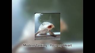 Modern Talking - Youre my heart ( Speed up) Resimi