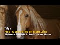 Fiesta Ecuestre en Medellín: El Gran Cierre de la Feria de las Flores -TvAgro por Juan Gonzalo Angel