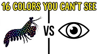 Your Red Isn't My Red (And You'll Never Know)