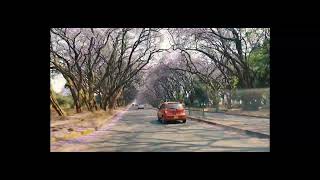 Drivin Thru Harare: Moffat Street