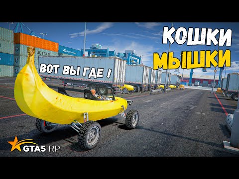 Видео: 5 МЫШЕК И 1 КОШКА, КОШКИ МЫШКИ НА БАНА В GTA 5 RP BURTON !