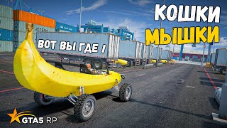 5 МЫШЕК И 1 КОШКА, КОШКИ МЫШКИ НА БАНА В GTA 5 RP BURTON !