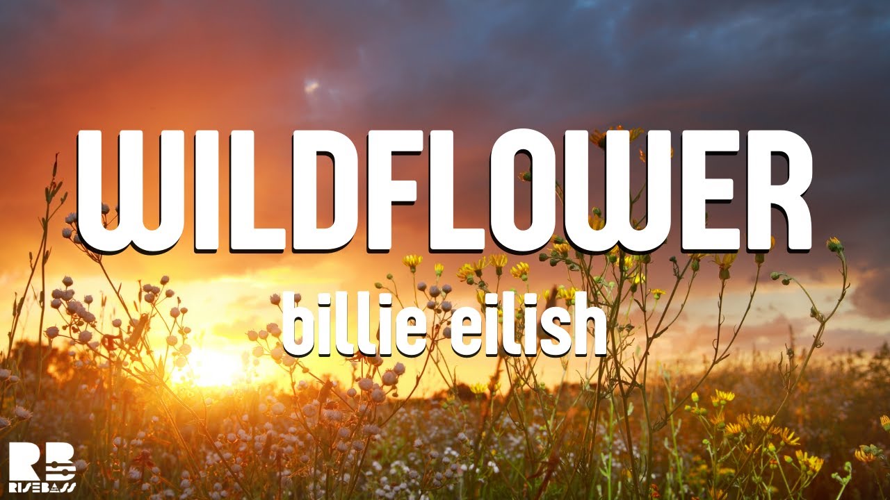 Billie Eilish WILDFLOWER Karaoke Version YouTube
