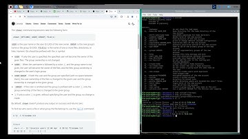 Raspberry Pi OS (4) - Permissions and ownership