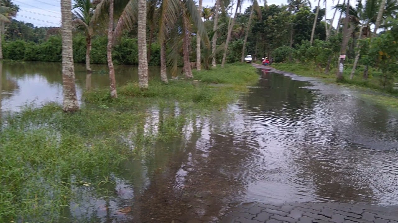 Water on the road after rain