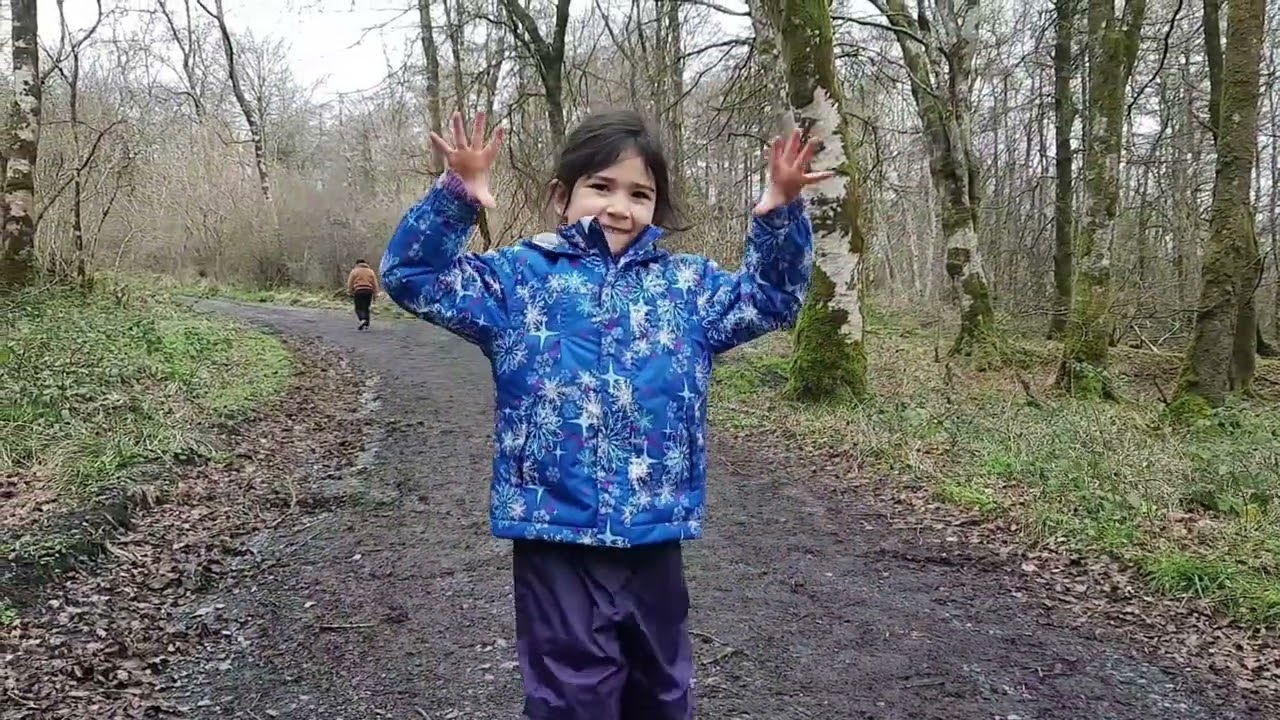 Hidden Ireland: Mullaghmeen Forest, County Westmeath