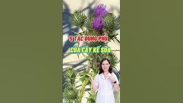 5 Tác Dụng Phụ Của Cây Kế Sữa #dsdaiminh #shorts #dinhduong #health