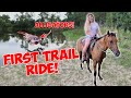 FIRST TRAIL RIDE ON MY COLT! | We Saw ALLIGATORS!