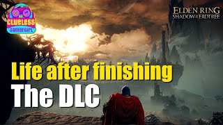 Celebrity Life after finishing Elden Ring: Shadow of the Erdtree DLC Wealth