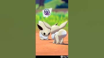 Shiny Eevee Fight #eevee #pokemonswordshield