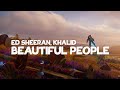45+ Beautiful People Lyrics Pics
