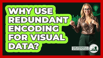 Why Use Redundant Encoding For Visual Data? - The Friendly Statistician