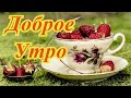 Доброе Утро! Яркого, тёплого и чудесного Дня! Самое Красивое Пожелание Доброго Утра и Хорошего Дня