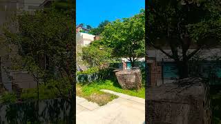 김종영미술관 영상