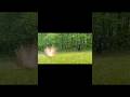 I caught a stray #canon #reenacting #explosion 