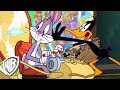 Looney Tunes em Português | Brasil | Pernalonga viaja no tempo | WB Kids