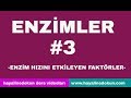 Download Enzimler #3| Enzim Hızına Etki Eden Faktörler| 9.Sınıf Biyoloji | YKS Biyoloji | HD Biyoloji Enzimler #3| Enzim Hızına Etki Eden Faktörler| 9.Sınıf Biyoloji | YKS Biyoloji | HD Biyoloji