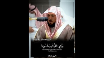 {فسبحان الله حين تمسون وحين تصبحون} تلاوة فضيلة الشيخ د.#ماهر_المعيقلي من صلاة المغرب 12 صفر 1444ه‍