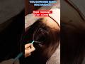 100% Guaranteed sleep Head massage #headmassage #headmassageforsleep #headmassager @OceansASMR