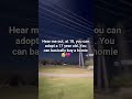 Subscribe for a 🍪#shorts #viral #popular #fyp #top3 #real #relatable #funny #dankmemes #tiktok #real