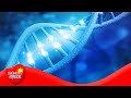 Unraveling Evolution Through DNA Mutations and Molecular Clocks