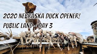 Duck Hunting 2020 - Nebraska Day Three on Public Land!
