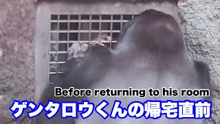 Download Lagu ゲンタロウくん、お部屋に戻るまで（ Before returning to his room) 2025.11.19 MP3