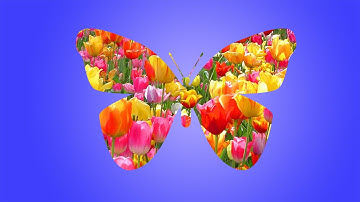 Shape Masking in Photoshop ( in Tamil with ESubs )