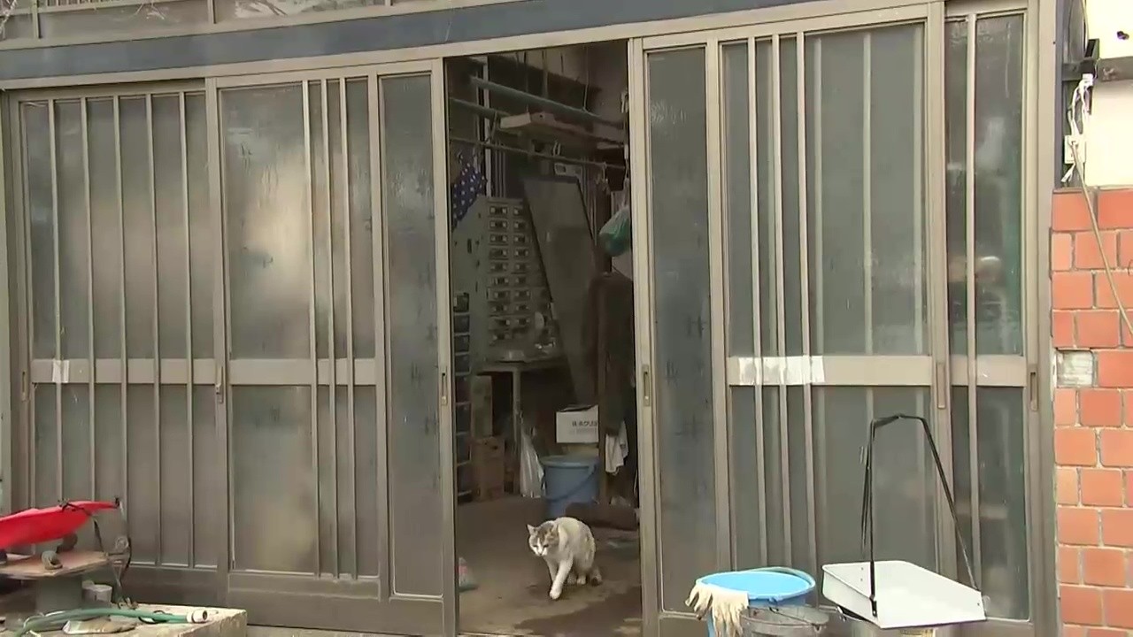 Bear breaks into home twice, destroys front door lock; resident