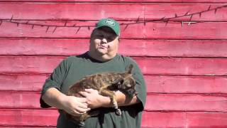 Rex Ryan's NFL picks week 6 2011/2012-Harder Knocks