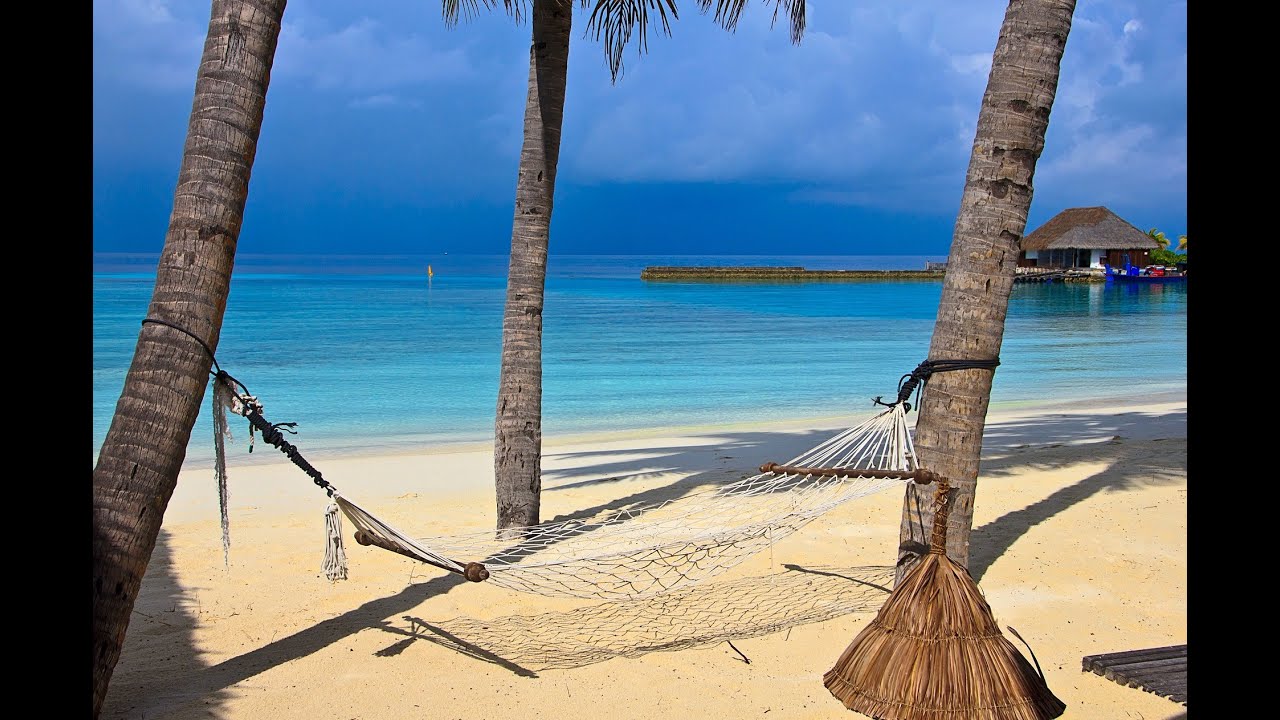 ADHS - Faulheit oder Paralyse?