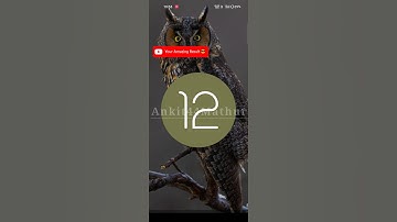 How to view Android version,12 logo/ Android version