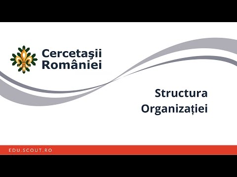 Video: Care grup dintr-o organizație ia de obicei cele mai multe decizii cu privire la structura organizațională?