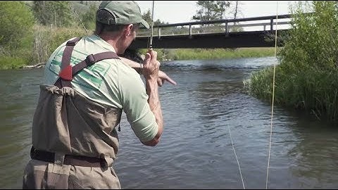 How to Make a Roll Cast - RIO Products