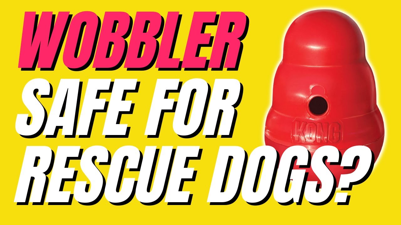 KONG WOBBLER Dog Toy REVIEW  Safe to use for Rescue Dogs?  #canineenrichment #dogtoys 