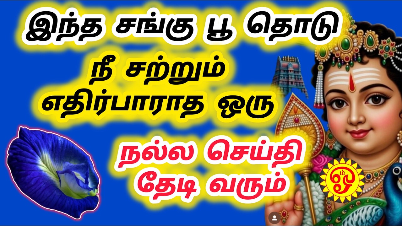 சங்கு பூ தொடு நீ சற்றும் எதிர்பாராத ஒரு நல்ல செய்தி தேடி வரும்