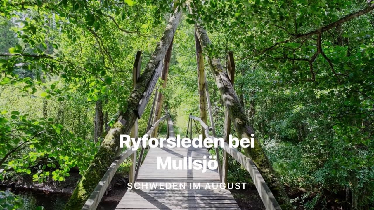 🇸🇪 Ryforsleben bei Mullsjö 