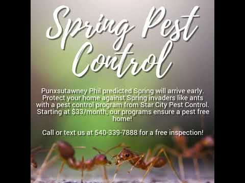 Spring Pest Control - YouTube