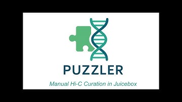 Manual Curation of Hi-C Genomes in Juicebox