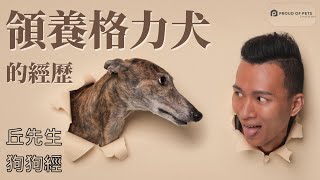 從賽狗場領養格力犬的經歷人生第一次養大狗領養過程分享世界第一跑得快的犬隻時間可達70公里  丘先生中文字幕