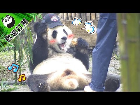 《熊貓主題趴》青青對奶媽的愛知多少？| iPanda熊貓頻道