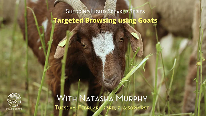 Targeted Browsing using Goats with Natasha Murphy