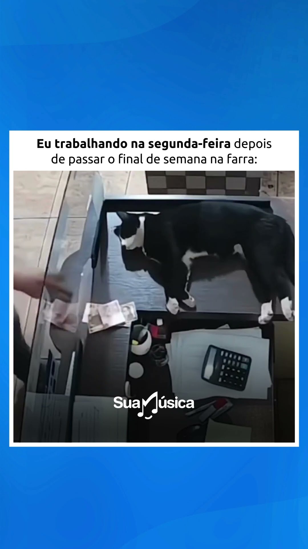 É na segunda que eu lembro que não sou herdeiro, só fingi ser no FDS ?‍??‍? #shorts