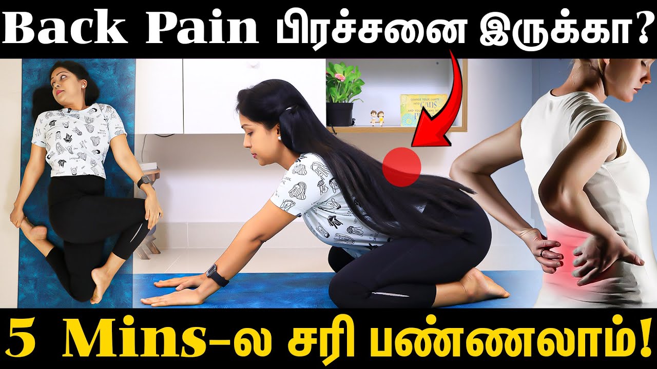 Back Pain-க்கு Best exercise இதுதான்! Try பண்ணி பாருங்க | Suganthi Jaya | International Yoga Trainer