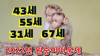 68년생 80년생 56년생 92년생 원숭이띠 운세 을일간